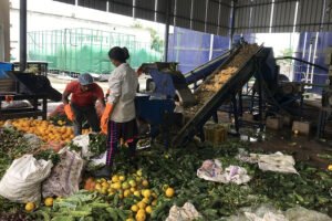 1015 Biogas_organic