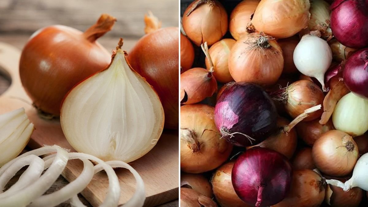 I Did This with an Onion… and No One Could Believe the Result!